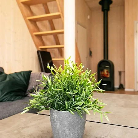 Cozy Holiday Home In Funen With Sauna Prázdninový dům Fåborg